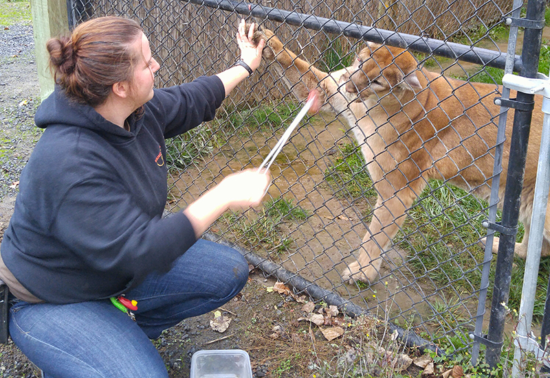 Unexpected path leads to fulfilling work with animals