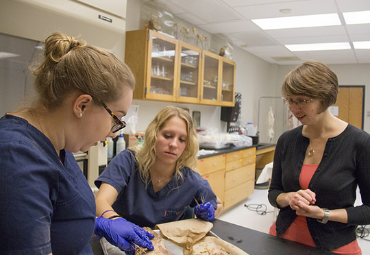 Cadaver opportunities create ‘well-prepared’ biology graduates