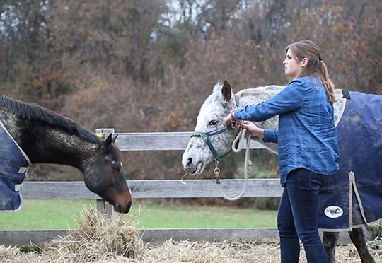 Internship gives E-town student a ‘Leg Up’ on equine therapy