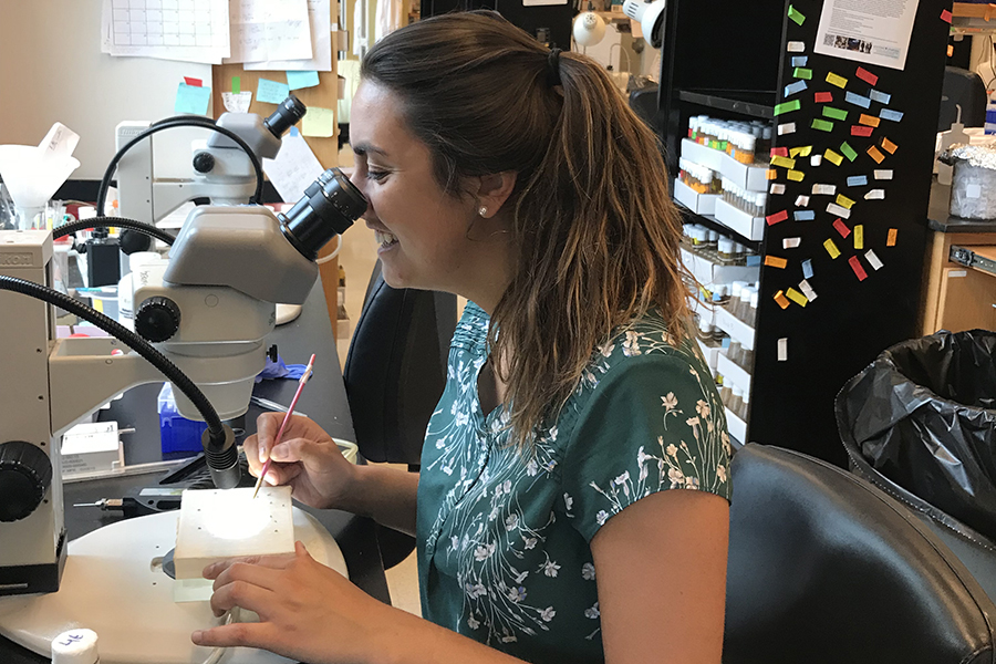 Biochemistry Alumna Receives Predoctoral Research Fellowship