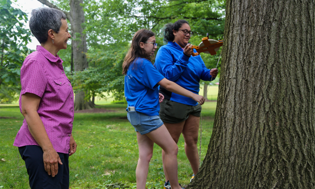 Elizabethtown College SCARP Series: Making Campus Trees Visible: Creating Resources to Enable Students and the Surrounding Communities to Benefit from Trees of the Elizabethtown Campus