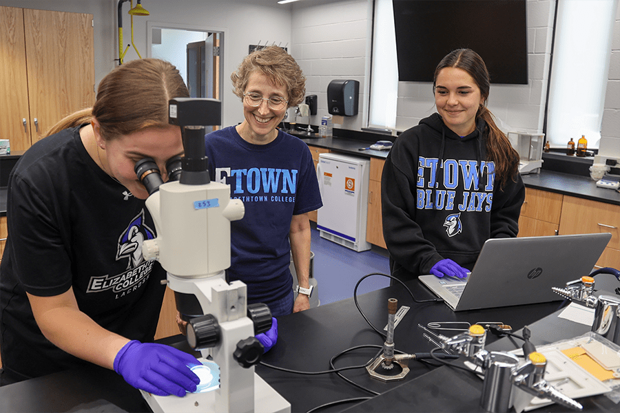 Elizabethtown College SCARP Series: Establishing a C. Elegans Model System to Expand our Understanding of the Gut Microbiome