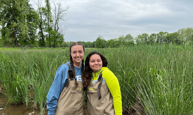 Elizabethtown College SCARP Series: The Effects of Floodplain Restoration on Reptiles and Amphibians