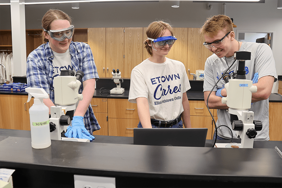 Elizabethtown College SCARP Series: Effects of Environmental Factors on the Pattern Formation in BZ Chemical Reaction Systems