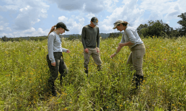 Elizabethtown College Department of Biological and Environmental Sciences Volunteers Offer Expertise During Local Biodiversity Monitoring Event