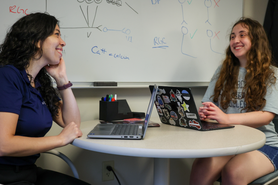 Elizabethtown College SCARP Series: Linking Language Development to Brain Structure in Children with Chromosome 8p Rearrangements