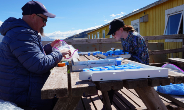 Elizabethtown College Professor, Student Explore Arctic Ecosystems in Greenland
