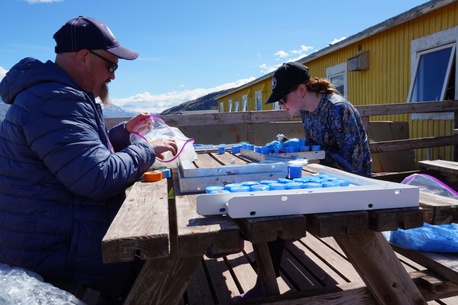 Elizabethtown College Professor, Student Explore Arctic Ecosystems in Greenland